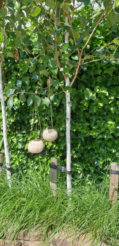 Cieza Pendelleuchte mit Seil - Keramiklaterne