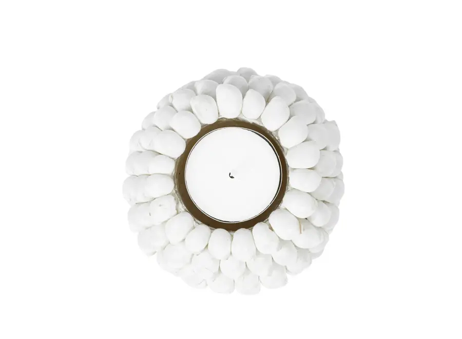 Ayamonte Seashell Luminary - Küsten-Teelichthalter