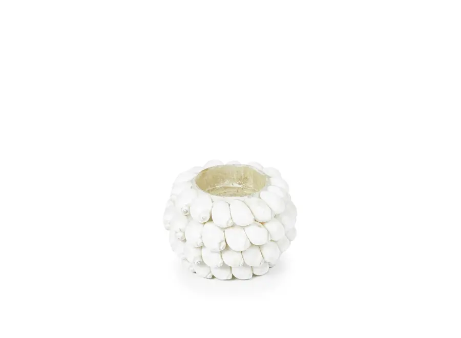 Ayamonte Seashell Luminary - Küsten-Teelichthalter