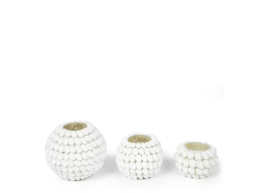 Ayamonte Seashell Luminary - Küsten-Teelichthalter