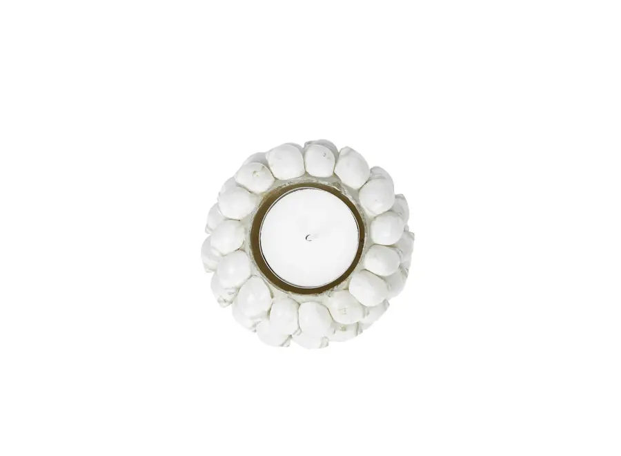 Ayamonte Seashell Luminary - Küsten-Teelichthalter