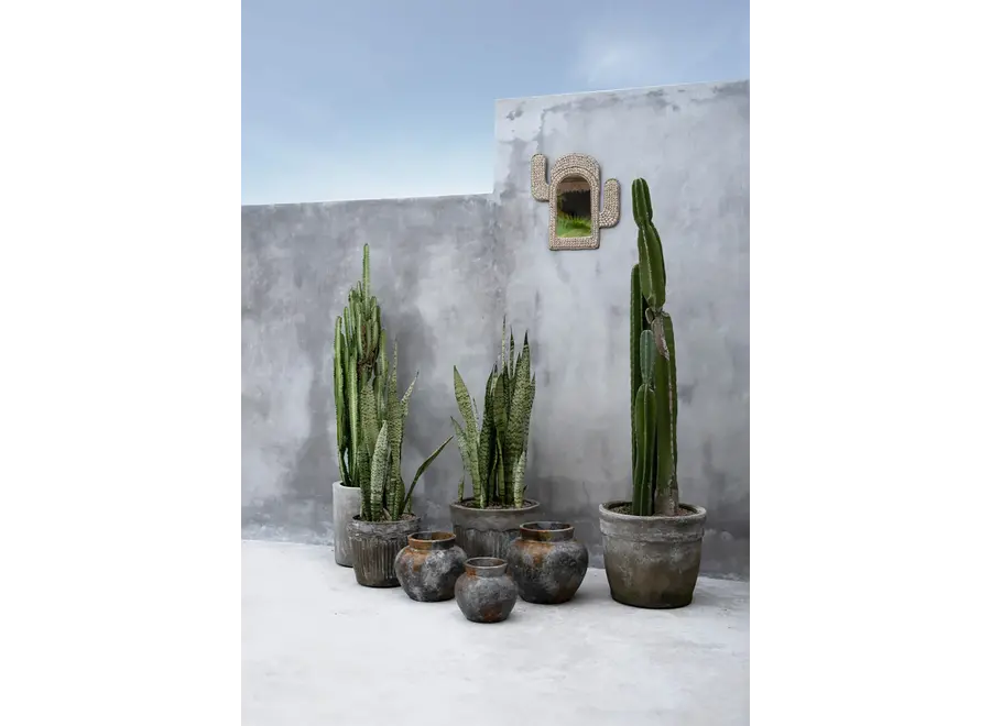 Cabo de Gata Kaktusspiegel - Kauri-Muschelspiegel