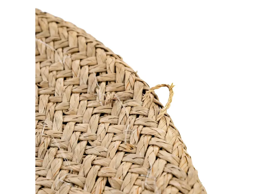 Costa Kauri-Teller - Muschelteller