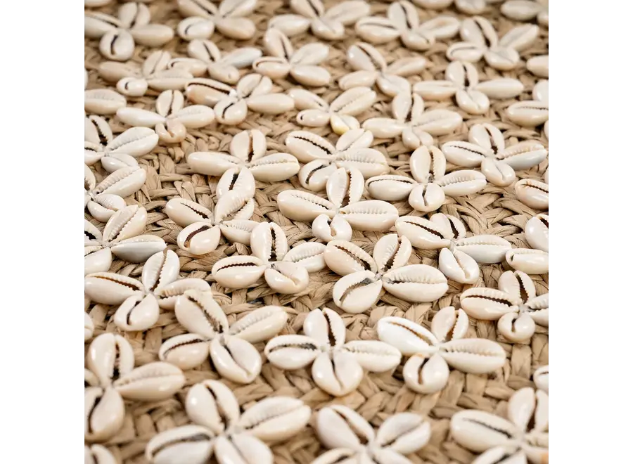 Costa Kauri-Teller - Muschelteller