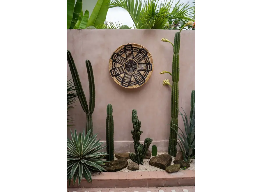 Paterna der Maya-Teller