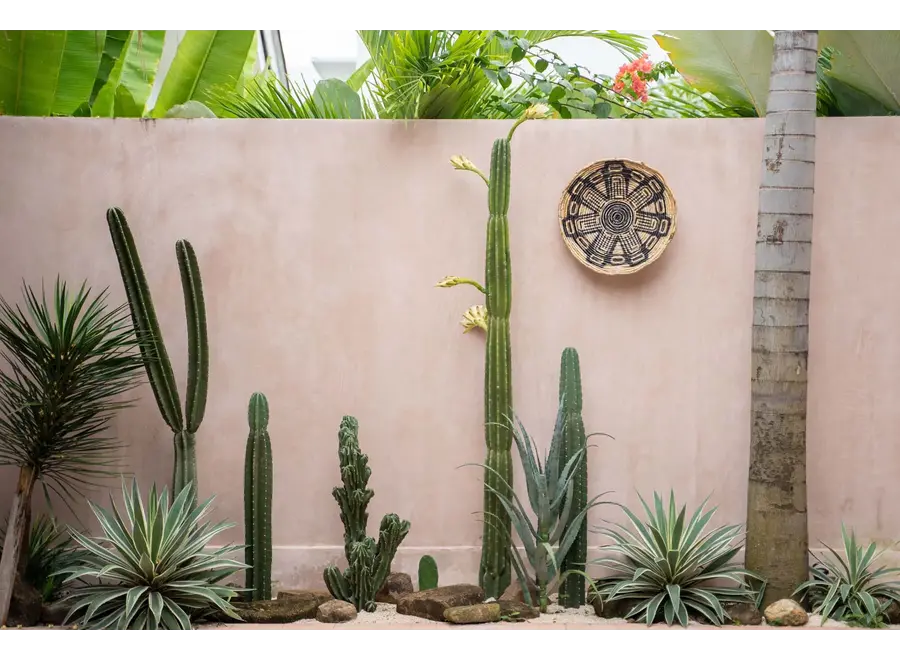 Paterna der Maya-Teller