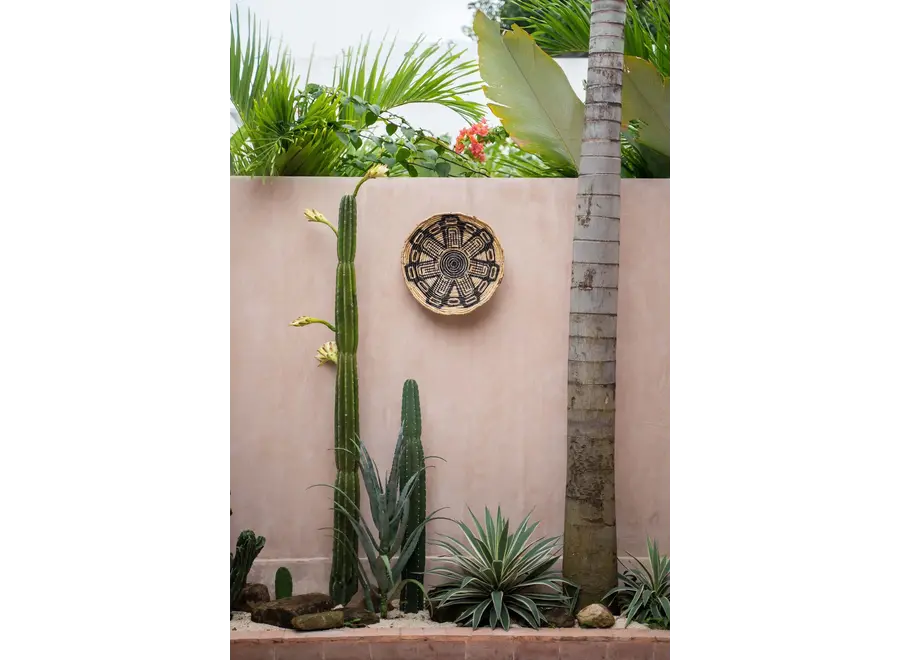 Paterna der Maya-Teller