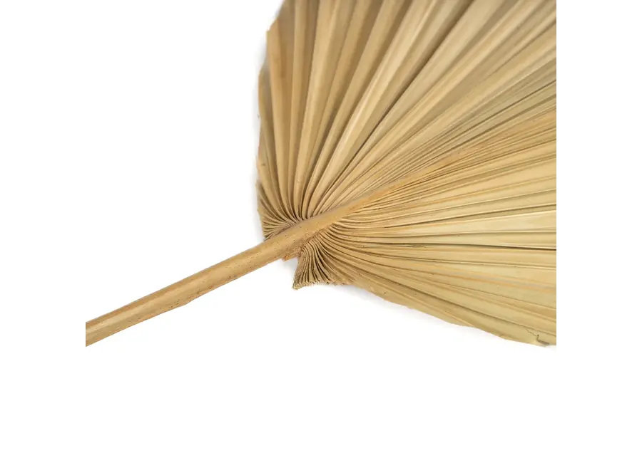 Frigiliana Nature Set – Rattan-Dekorationsstück