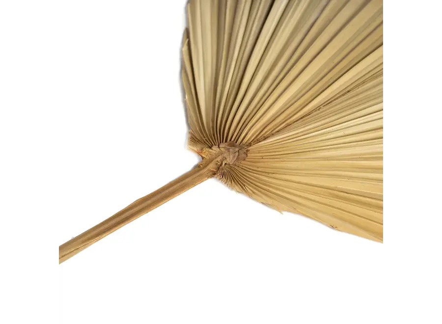 Frigiliana Nature Set – Rattan-Dekorationsstück