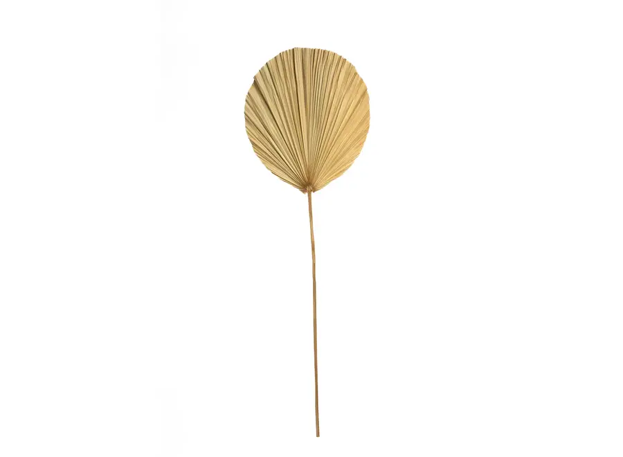 Frigiliana Nature Set – Rattan-Dekorationsstück