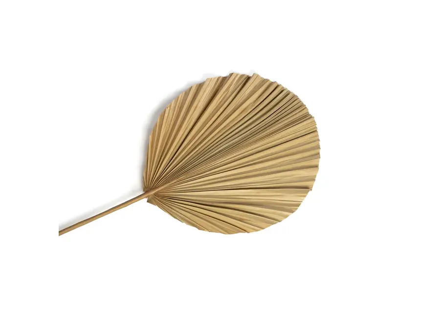 Frigiliana Nature Set – Rattan-Dekorationsstück