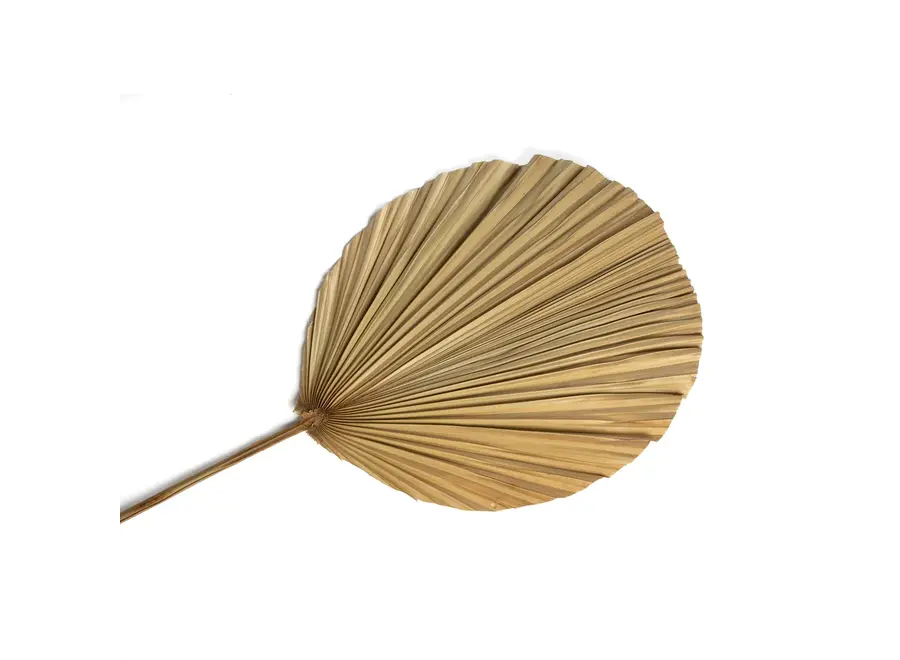 Frigiliana Nature Set – Rattan-Dekorationsstück