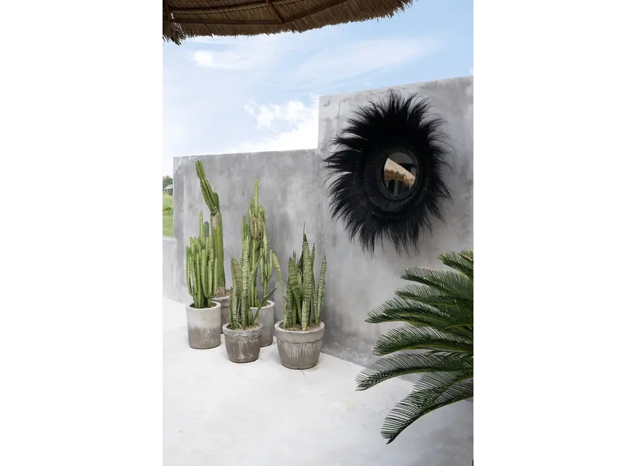 Cazorla Tiefenspiegel - Grasspiegel