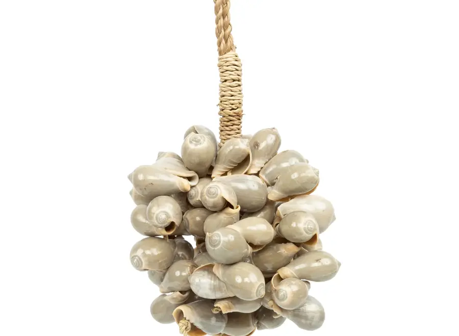 Mar Menor Küstenquaste - Balinesischer Muschelschmuck