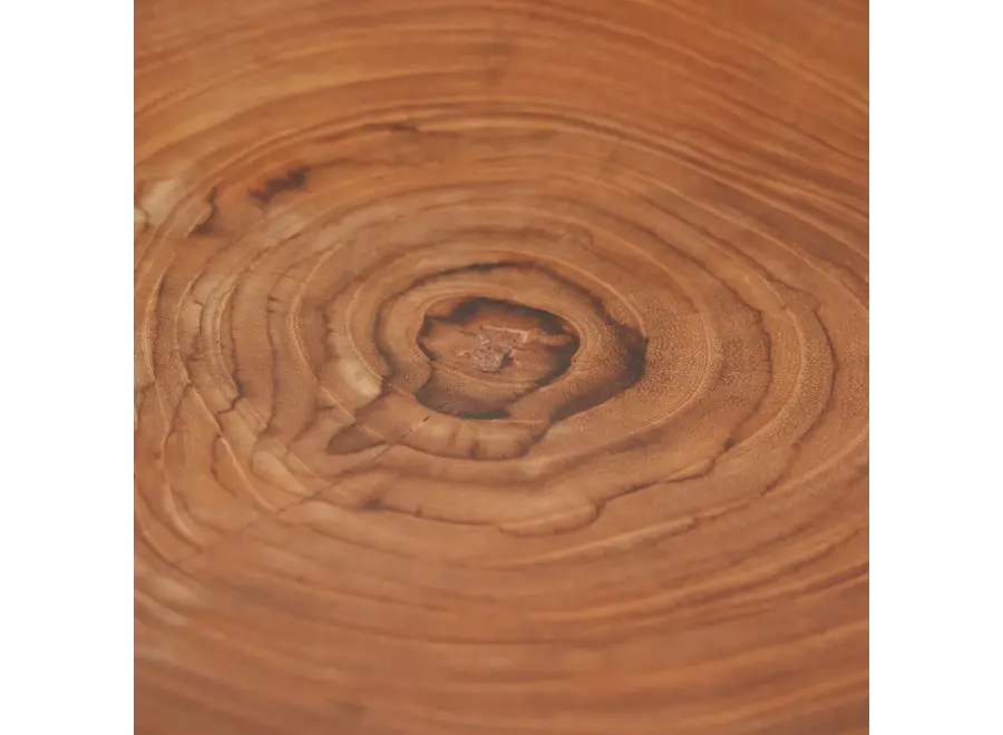 Cazorla Teak Symphony - Teak-Wurzelplatte