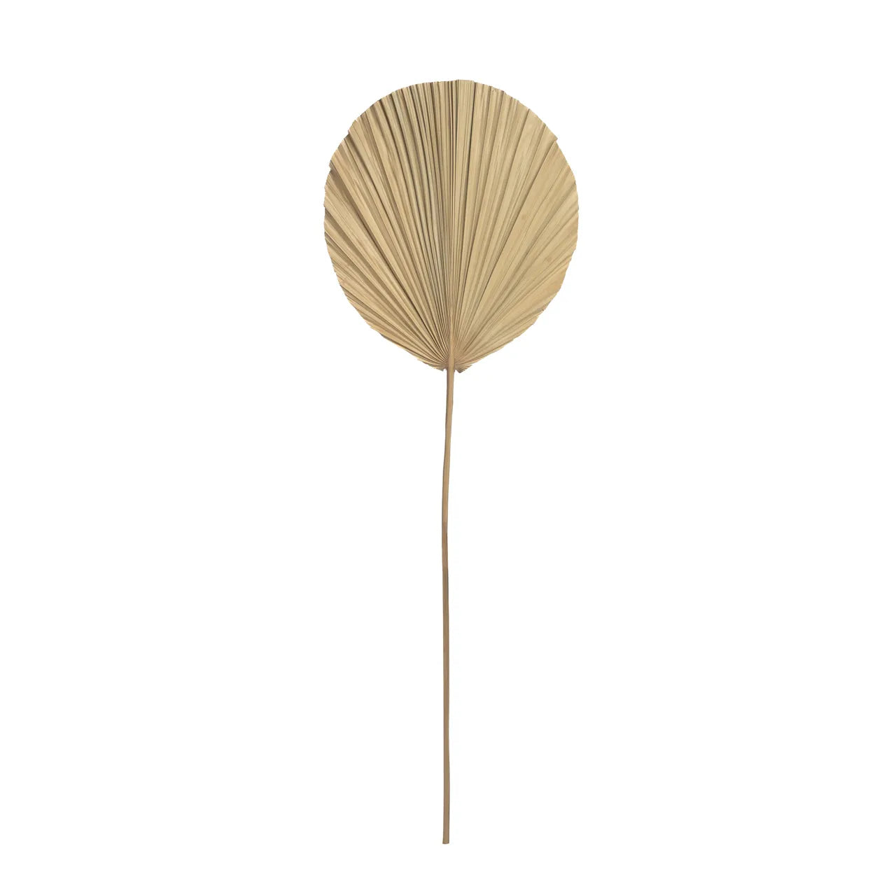 Frigiliana Nature Set – Rattan-Dekorationsstück